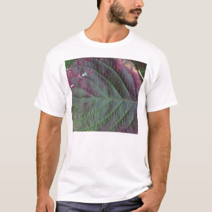 camisa de la hoja