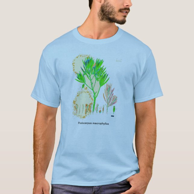 Camisa de la impresión del Podocarpus del CYCAD (Anverso)
