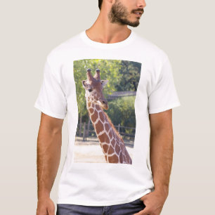 Camisa de la jirafa 1
