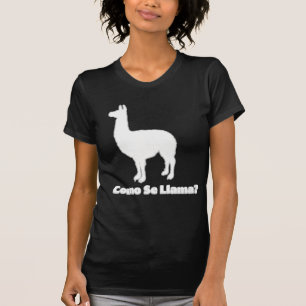Camisa de la llama del SE de Como