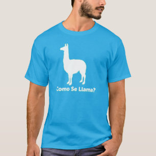 Camisa de la llama del SE de Como