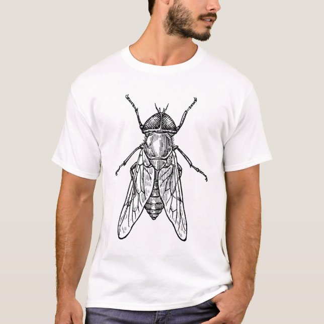 Camisa de la mosca (Anverso)