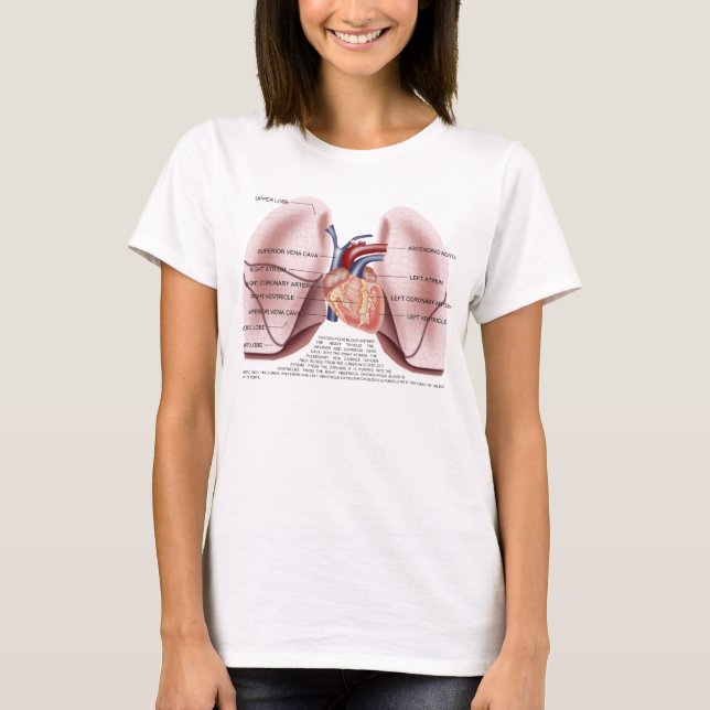Camisa de la muñeca de las señoras de la anatomía (Anverso)