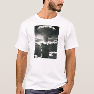 Camisa de la paz