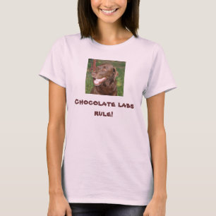 . Camisa de la regla del laboratorio del chocolate