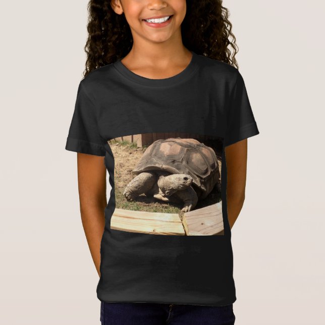 camisa de la tortuga (Anverso)