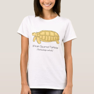 Camisa de la tortuga de Sulcata