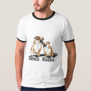 Camisa de los Cocos del amor del hielo de