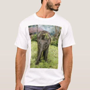 camisa de los elefantes del corazón i