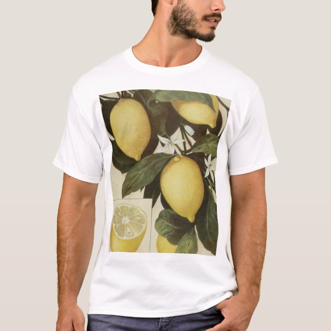 Camisa de los limones (Anverso)