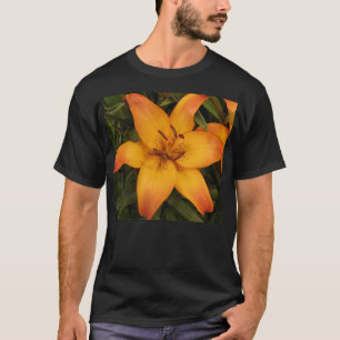 Camisa de naranja Lily Men