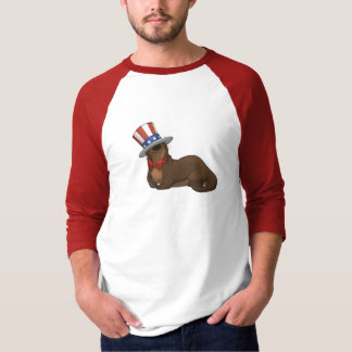 Camisa de Patriotter