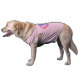 Camisa de perro rosa (Lado)