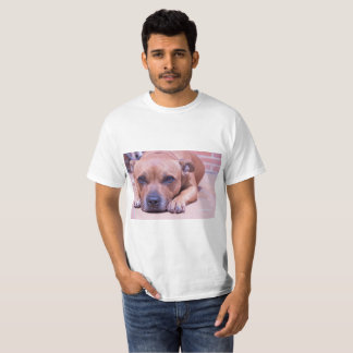 Camisa de Staffy
