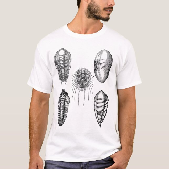 Camisa de Trilobites (Anverso)