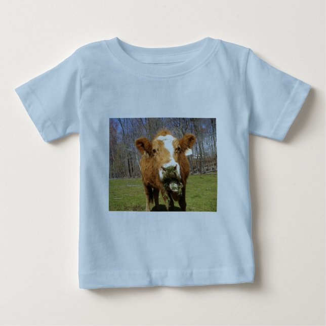 Camisa de vaca azul (Anverso)