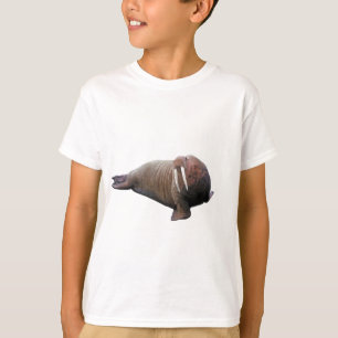 Camisa de Walrus