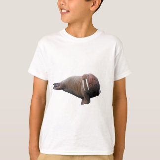 Camisa de Walrus