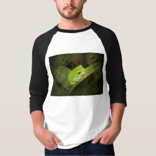 Camisa del béisbol de las reflexiones de la rana