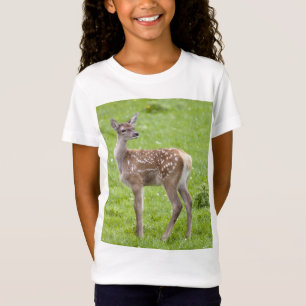 Camisa del cervatillo del ciervo común