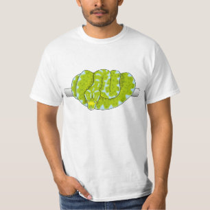 camisa del chondro