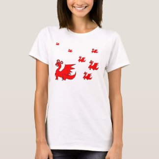 Camisa del dragón
