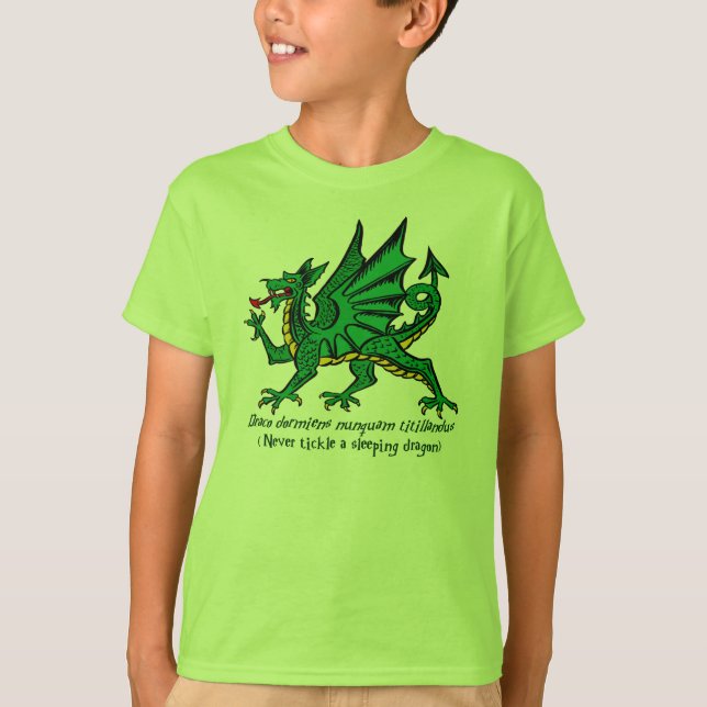 Camisa del dragón el dormir (Anverso)