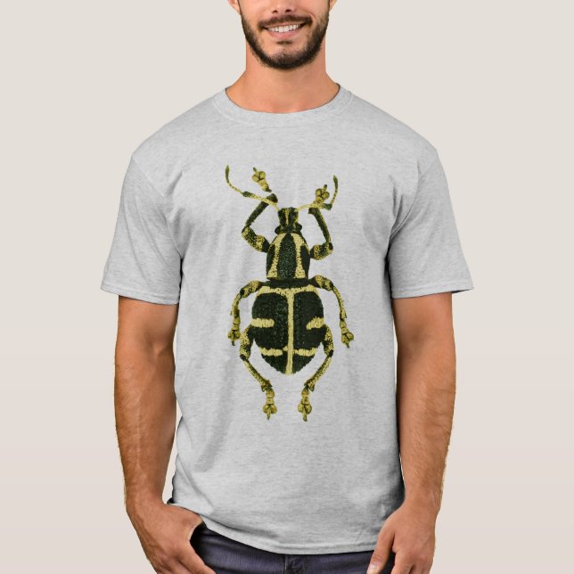 Camisa del escarabajo (Anverso)