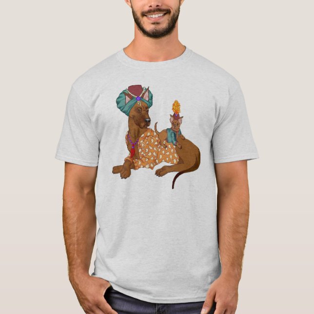 Camisa del escolta del sultán (Anverso)