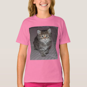 Camisa del gatito del Tabby