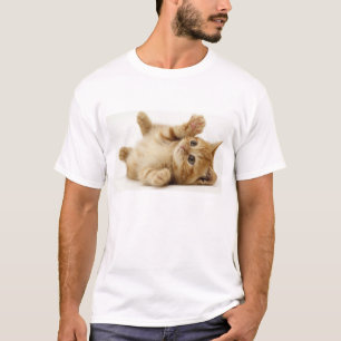 Camisa del gato