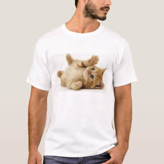 Camisa del gato