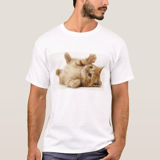 Camisa del gato (Anverso)