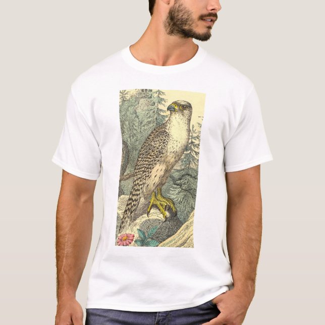Camisa del halcón (Anverso)