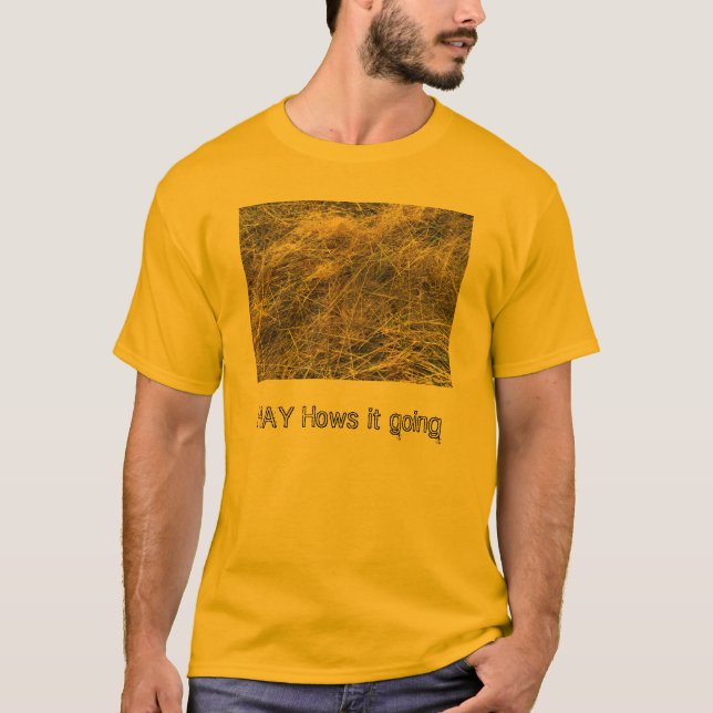 CAMISA DEL HENO (Anverso)
