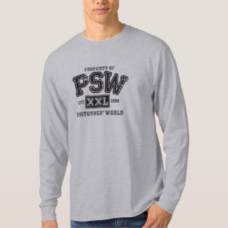Camisa del mundo de Photoshop