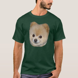 Camisa del perro de Pomeranian
