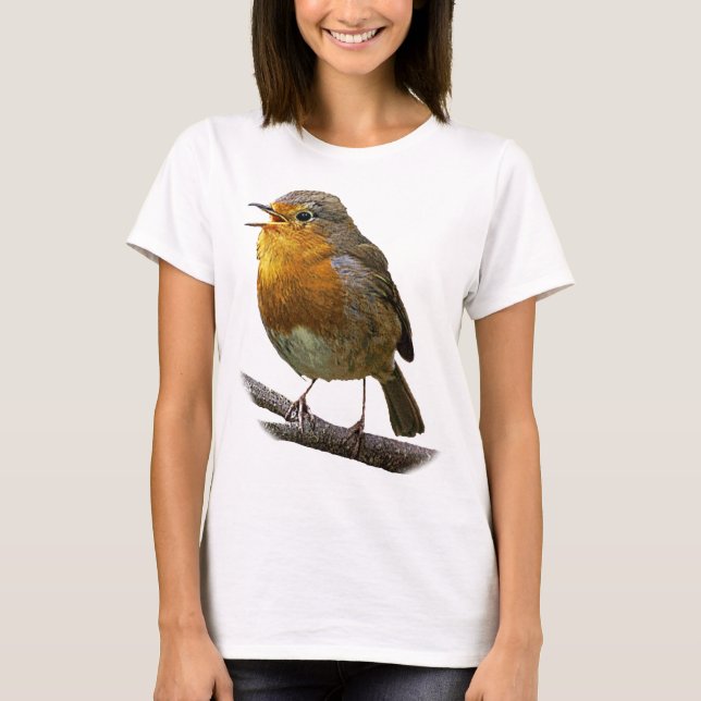 Camisa del petirrojo (Anverso)