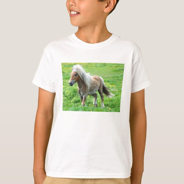 Camisa del potro (Anverso)