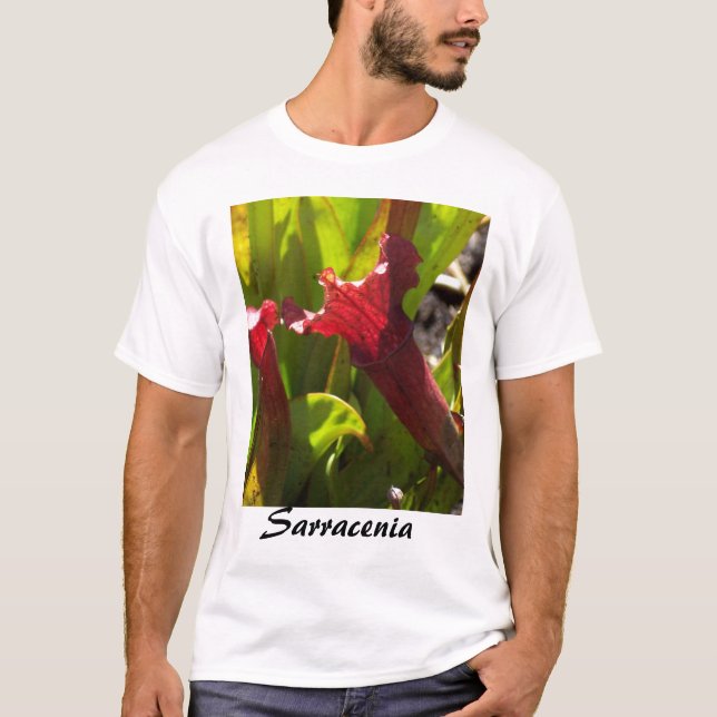Camisa del Sarracenia (Anverso)