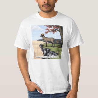 Camisa del "sombrero"