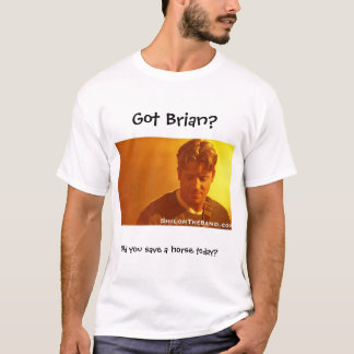 Camisa del ST de Shiloh