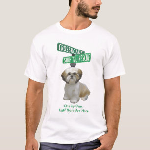 Camisa del superpoder de CSTR