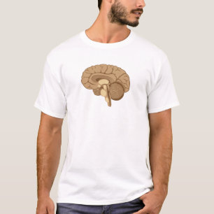 Camisa divertida de la anatomía del cerebro humano