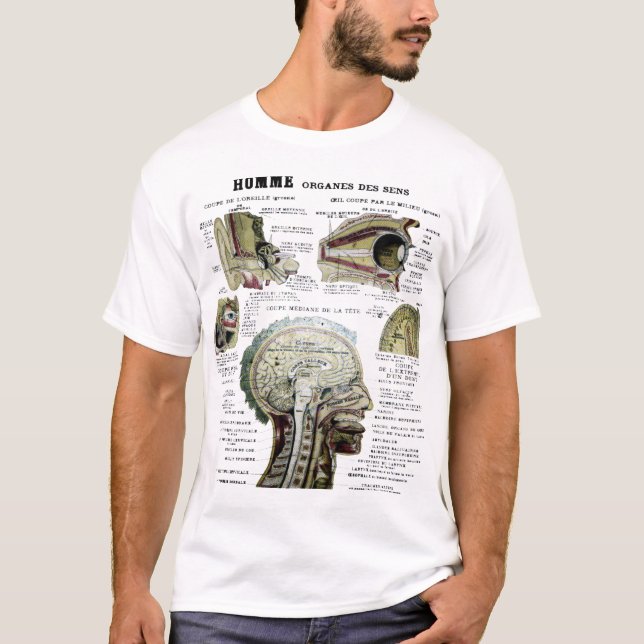 Camisa francesa de la anatomía del vintage (Anverso)