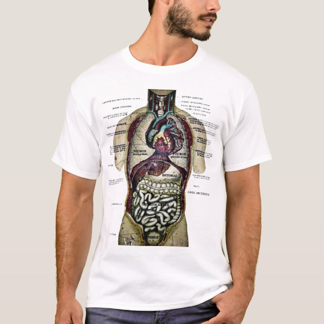 Camisa francesa de la anatomía del vintage (Anverso)