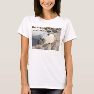 Camisa gris vieja de la yegua
