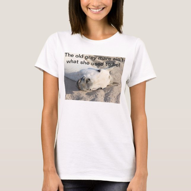 Camisa gris vieja de la yegua (Anverso)