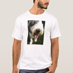 Camisa inglesa vieja del perro pastor - nariz