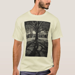 Camisa principal del parque del búho
